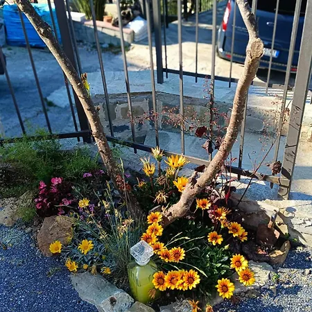 Casa Leonardo A Poggi