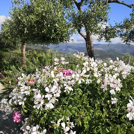 Casa Leonardo A Poggi *