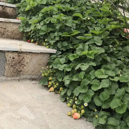Nyaraló Casa Leonardo A Poggi