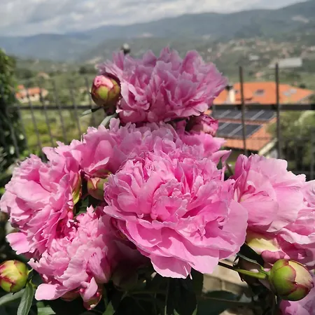 Nyaraló Casa Leonardo A Poggi *