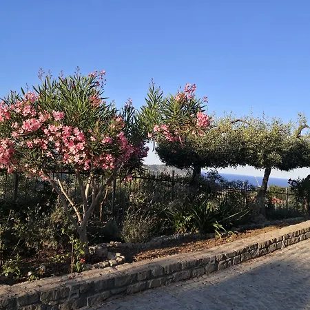 Casa Leonardo A Poggi *