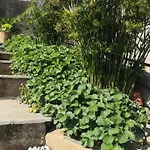 Casa Leonardo A Poggi * إمبيريا