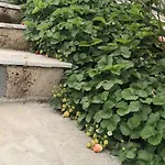 بيت للعطل Casa Leonardo A Poggi