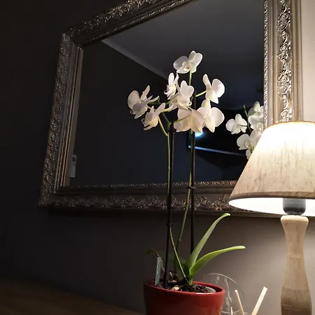 Casa Leonardo A Poggi インペリア