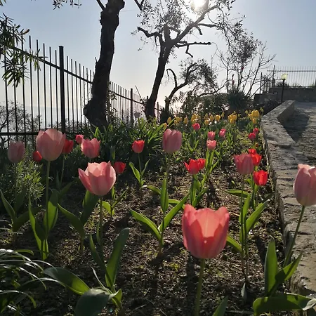Casa Leonardo A Poggi Holiday home Imperia