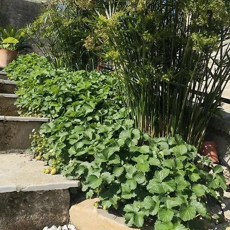 Casa Leonardo A Poggi * Imperia