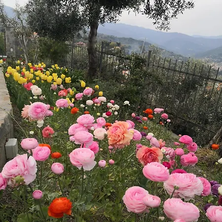 Casa Leonardo A Poggi Holiday home *