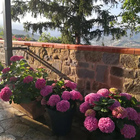Casa Leonardo A Poggi بيت للعطل *
