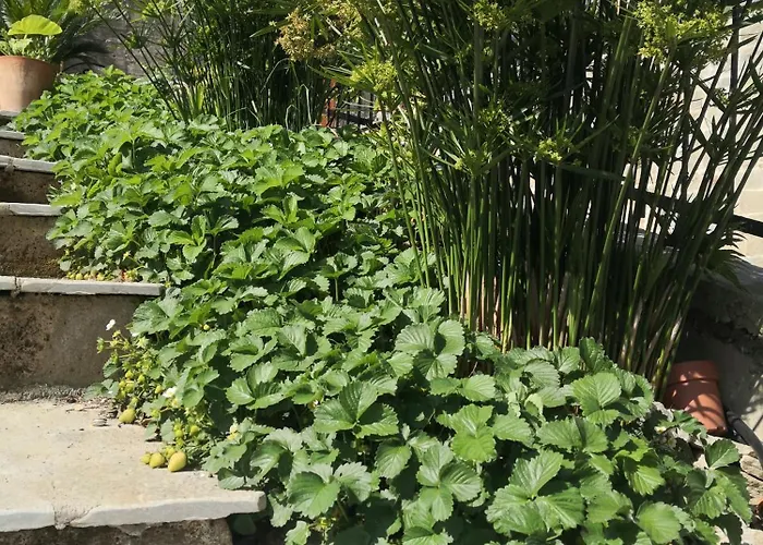 Casa Leonardo A Poggi * Imperia