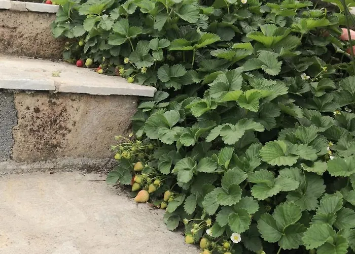 Сasa de vacaciones Casa Leonardo A Poggi